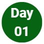 Day 01