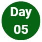 Day 05