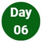 Day 06
