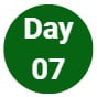 Day 07
