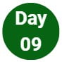 Day 09
