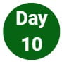 Day 10