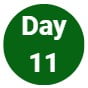 Day 11