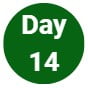 Day 14