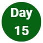 Day 15